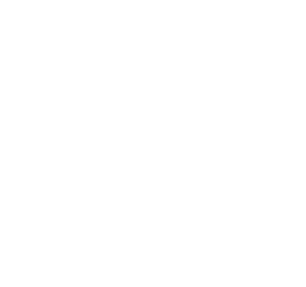 Fits jordan