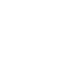 Fits converse